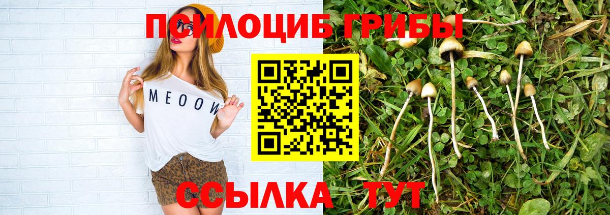 Сибай  Псилоцибиновые грибы мицелий  Псилоцибиновые грибы MAGIC MUSHROOMS  что такое наркотик  Вход с VPN 