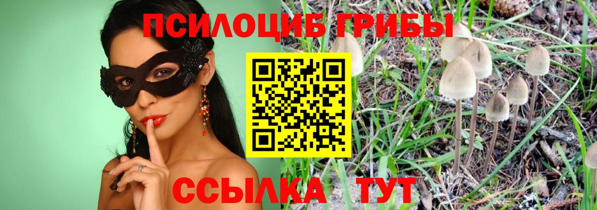 Псилоцибиновые грибы мицелий Сибай